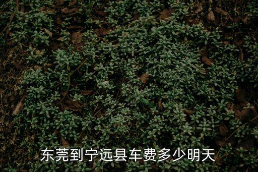 東莞到寧遠縣車費多少明天