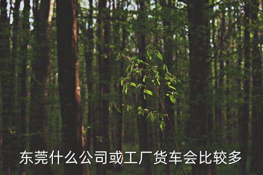 東莞什么公司或工廠貨車會比較多