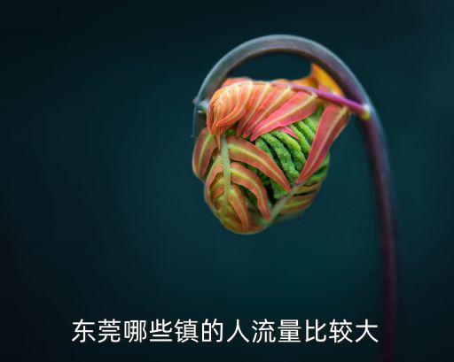 東莞長(zhǎng)安哪里的人最多，東莞市長(zhǎng)安鎮(zhèn)人口最集中的是哪條街