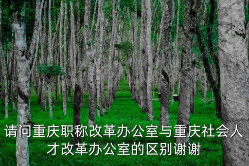 請問重慶職稱改革辦公室與重慶社會人才改革辦公室的區別謝謝