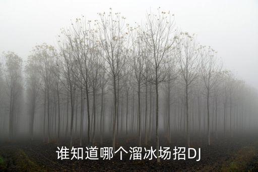 誰知道哪個溜冰場招DJ