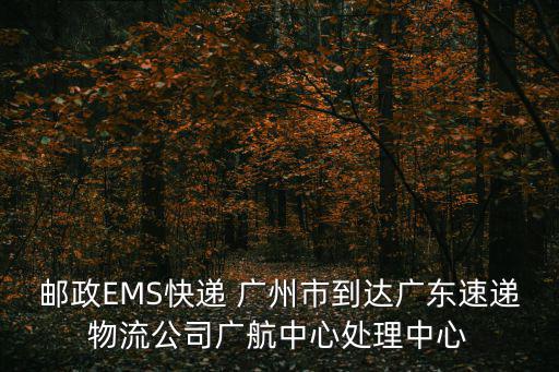 郵政EMS快遞 廣州市到達(dá)廣東速遞物流公司廣航中心處理中心