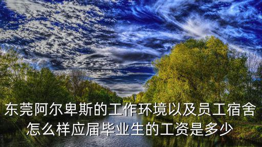 東莞長安阿爾卑斯待遇，東莞阿爾卑斯電子廠怎么樣那邊會計職員工資大概是多少