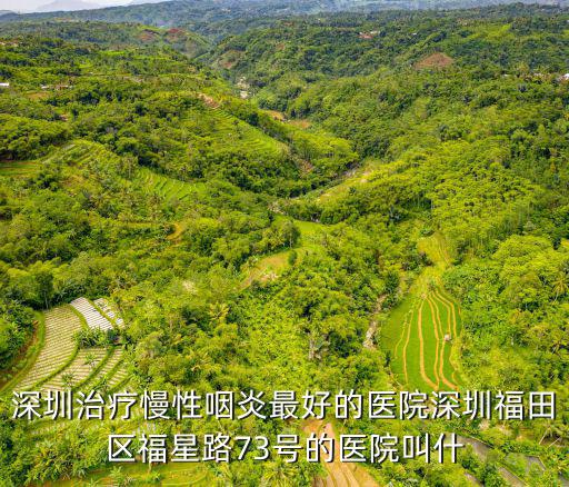 深圳蒂梵韻，深圳治療慢性咽炎最好的醫(yī)院深圳福田區(qū)福星路73號(hào)的醫(yī)院叫什