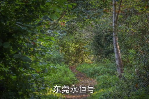 東莞永恒號(hào)