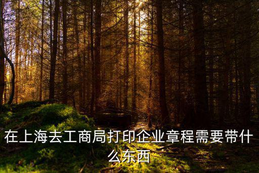 在上海去工商局打印企業章程需要帶什么東西