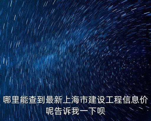 哪里能查到最新上海市建設工程信息價呢告訴我一下唄