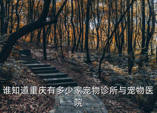 誰(shuí)知道重慶有多少家寵物診所與寵物醫(yī)院
