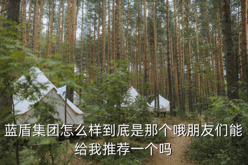 藍(lán)盾集團(tuán)怎么樣到底是那個哦朋友們能給我推薦一個嗎