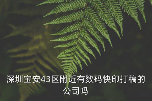 深圳寶安43區(qū)附近有數(shù)碼快印打稿的公司嗎