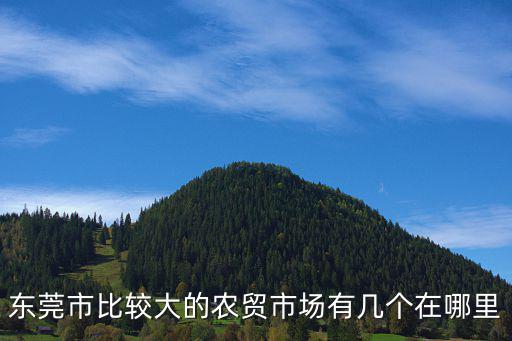 東莞市比較大的農貿市場有幾個在哪里