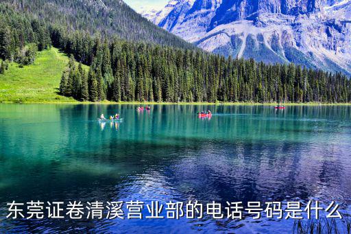 東莞證卷清溪營(yíng)業(yè)部的電話號(hào)碼是什么