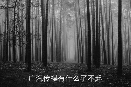廣汽傳祺有什么了不起