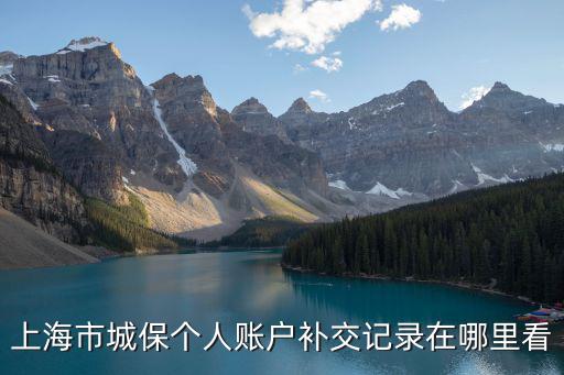 上海市社保記錄怎么查詢，上海的公司社保卡怎么查詢是否扣款成功如何網(wǎng)上查詢是否已幫員