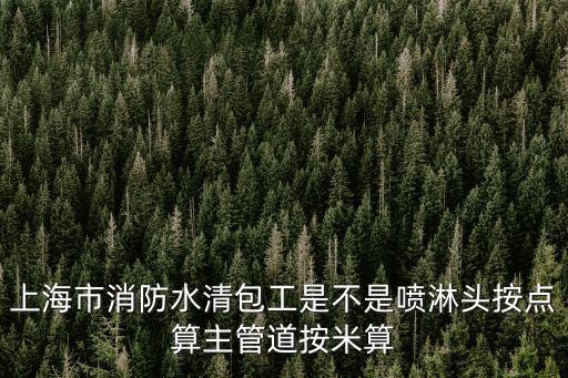 上海市消防定額，上海市消防水清包工是不是噴淋頭按點算主管道按米算