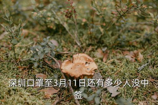 深圳口罩至3月11日還有多少人沒中簽