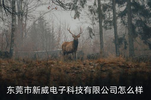 東莞市新威電子科技有限公司怎么樣