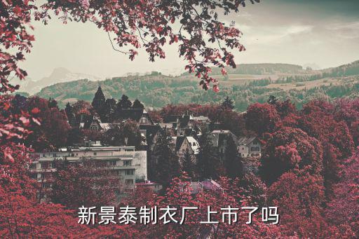 新景泰制衣廠上市了嗎