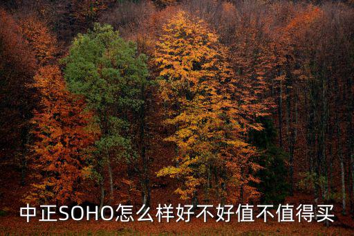 中正SOHO怎么樣好不好值不值得買