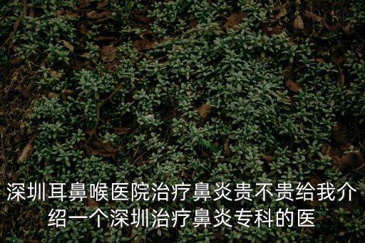 深圳耳鼻喉醫院治療鼻炎貴不貴給我介紹一個深圳治療鼻炎專科的醫