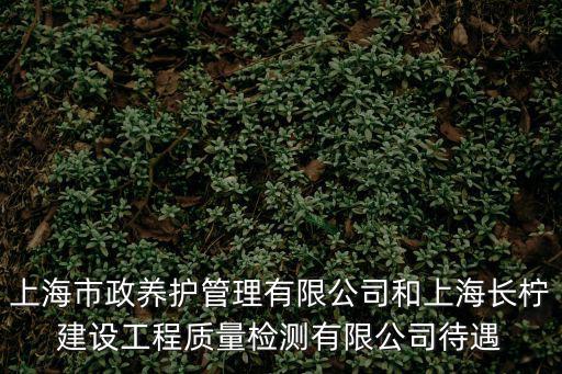 上海市政養(yǎng)護(hù)管理有限公司和上海長檸建設(shè)工程質(zhì)量檢測有限公司待遇