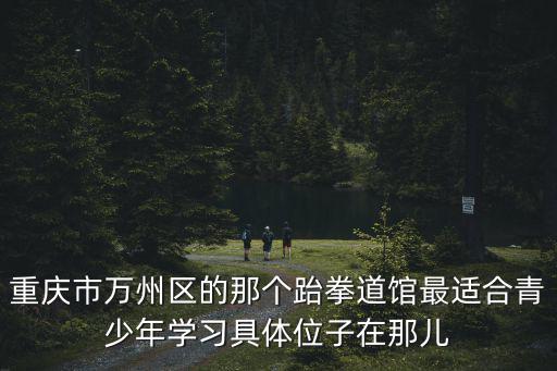 重慶市萬州區的那個跆拳道館最適合青少年學習具體位子在那兒