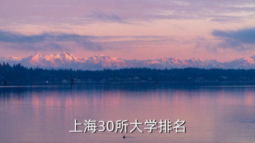上海30所大學排名