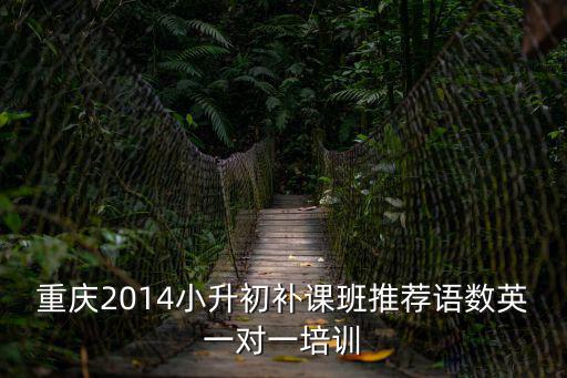 重慶市九街小升初培訓，重慶小升初補習去哪里比較好求推薦好的培訓學校