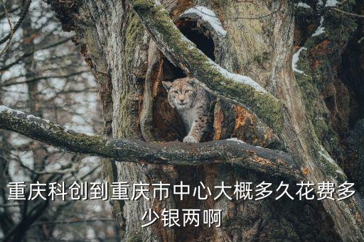 重慶科創(chuàng)到重慶市中心大概多久花費(fèi)多少銀兩啊