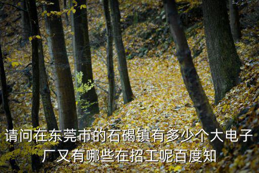 請問在東莞市的石碣鎮有多少個大電子廠又有哪些在招工呢百度知