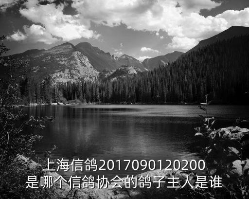 上海信鴿2017090120200是哪個信鴿協會的鴿子主人是誰