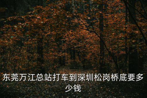 深圳松崗坐車到東莞萬江要多少錢，請問從深圳松崗東莞萬江總站坐什么車多久多錢