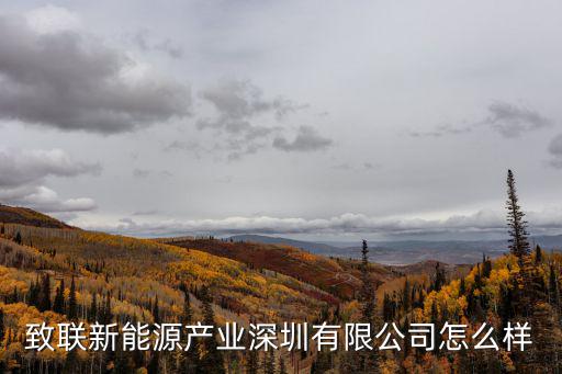 深圳市致聯科技有限公司，致聯技術深圳有限公司怎么樣