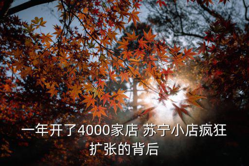 一年開了4000家店 蘇寧小店瘋狂擴張的背后