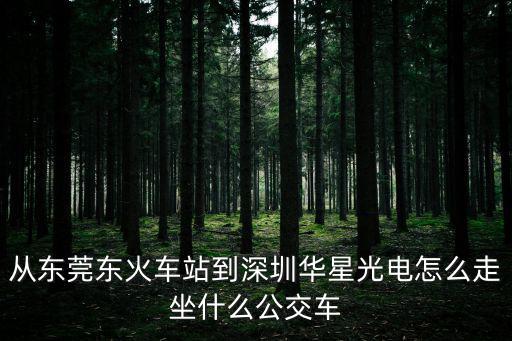 東莞西到華星光電，求助從東莞松山湖聚信科技到深圳光明區華星光電有沒有公共汽車