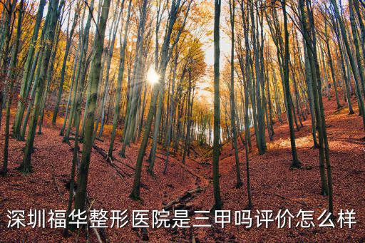 深圳福華整形醫(yī)院是三甲嗎評價怎么樣