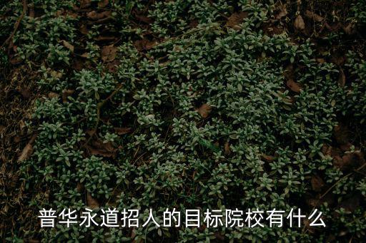 上海市外國語大學招聘，上海外國語大學日語能進華為嗎