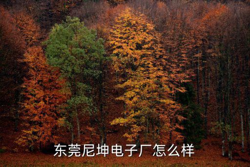 東莞尼坤電子廠怎么樣