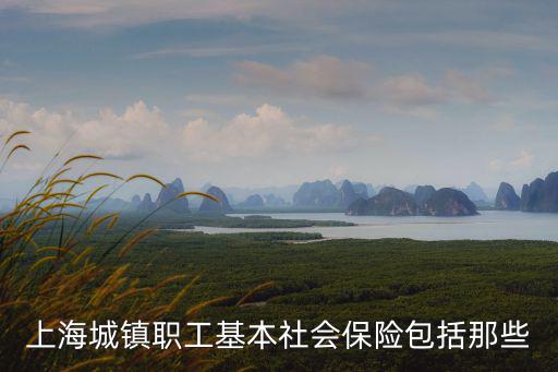 上海市城鎮(zhèn)保險包含哪些，上海市城鎮(zhèn)社會保險