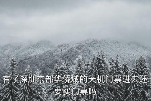 深圳東部華僑城天機(jī)，有了深圳東部華僑城的天機(jī)門票進(jìn)去還要買門票嗎