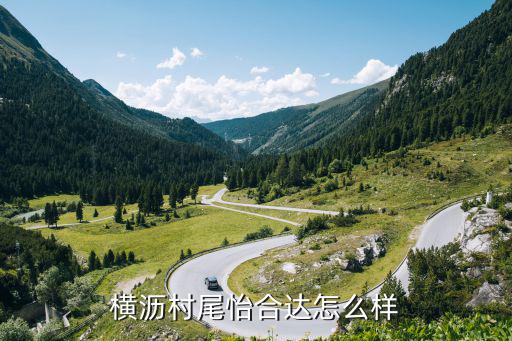 橫瀝村尾怡合達(dá)怎么樣