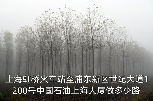 上海虹橋火車站至浦東新區(qū)世紀(jì)大道1200號(hào)中國石油上海大廈做多少路