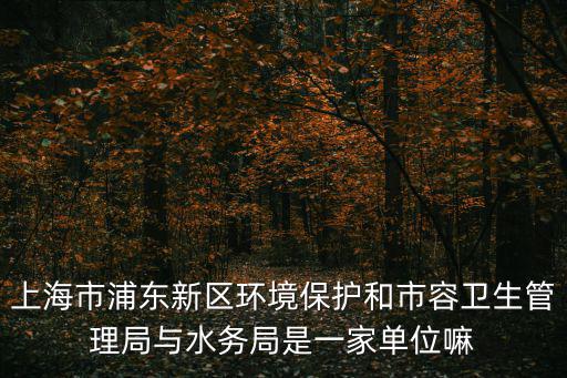 上海市浦東新區(qū)環(huán)境保護(hù)和市容衛(wèi)生管理局與水務(wù)局是一家單位嘛