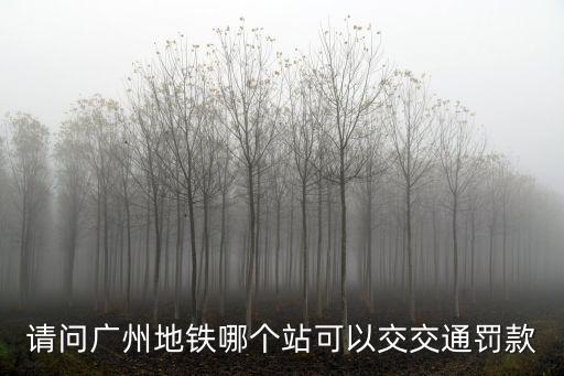 請問廣州地鐵哪個站可以交交通罰款