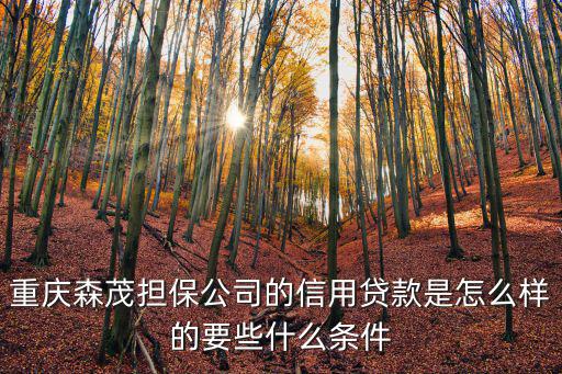 重慶森茂擔保公司的信用貸款是怎么樣的要些什么條件