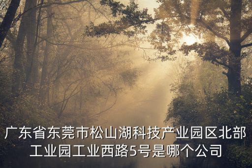 廣東省東莞市松山湖科技產(chǎn)業(yè)園區(qū)北部工業(yè)園工業(yè)西路5號是哪個公司