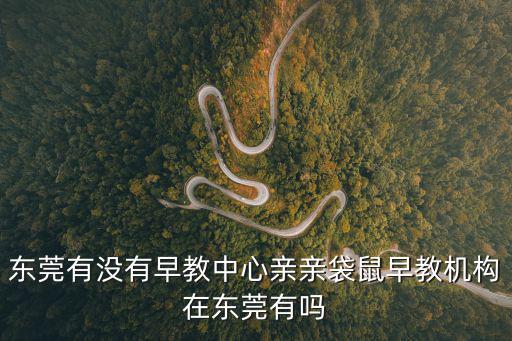 東莞有沒有早教中心親親袋鼠早教機構(gòu)在東莞有嗎