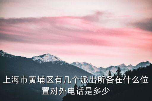 上海市黃埔區有幾個派出所各在什么位置對外電話是多少