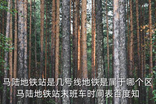 上海市嘉定馬陸地鐵站吉嘉廣場，馬陸地鐵站吉嘉K從幾號口出馬陸地鐵站吉嘉K從幾號口出