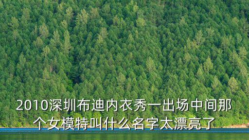 2010深圳布迪內衣秀一出場中間那個女模特叫什么名字太漂亮了